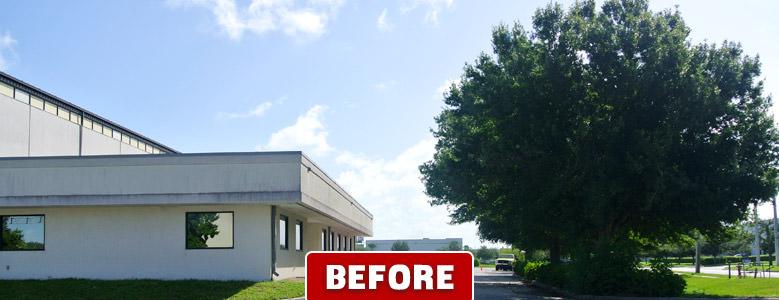 Orlando Tree Pruning Company