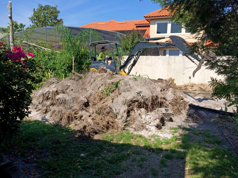Residential Bamboo Removal in Dr. Phillips