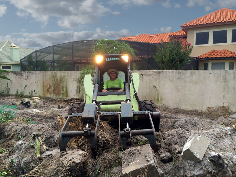Residential Bamboo Removal in Dr. Phillips