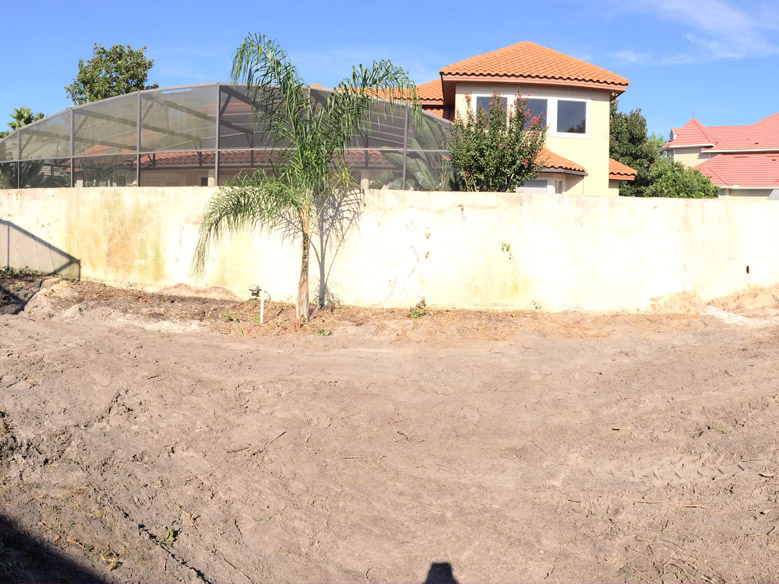 After Residential Orlando Bamboo Removal