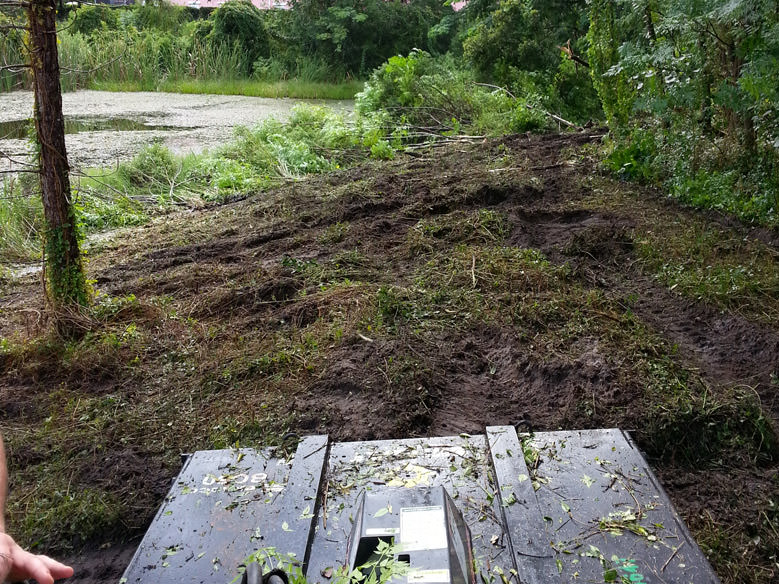 Commercial Bush Hogging in MetroWest