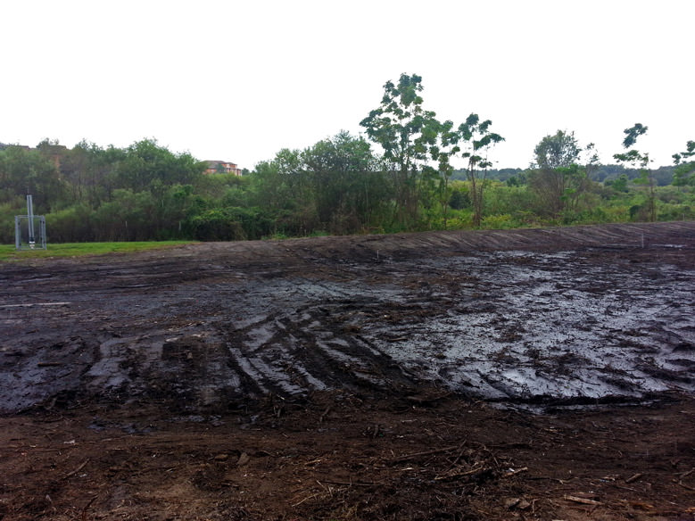 After Orlando Land Clearing