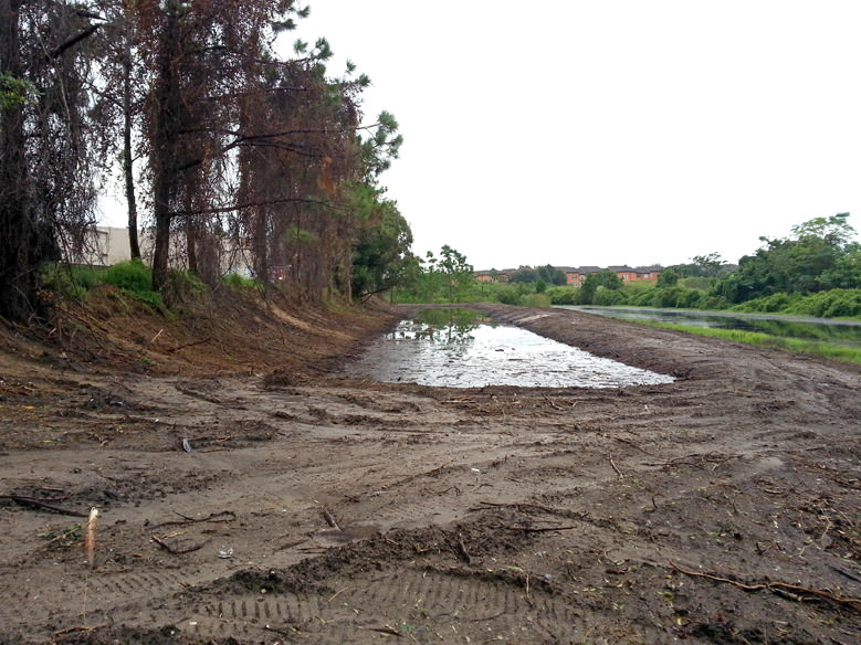 After Land Clearing Orlando