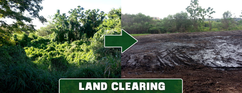 Land Clearing