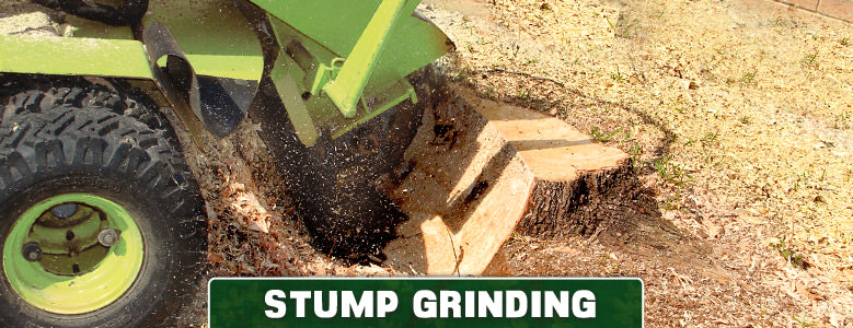 Stump Grinding
