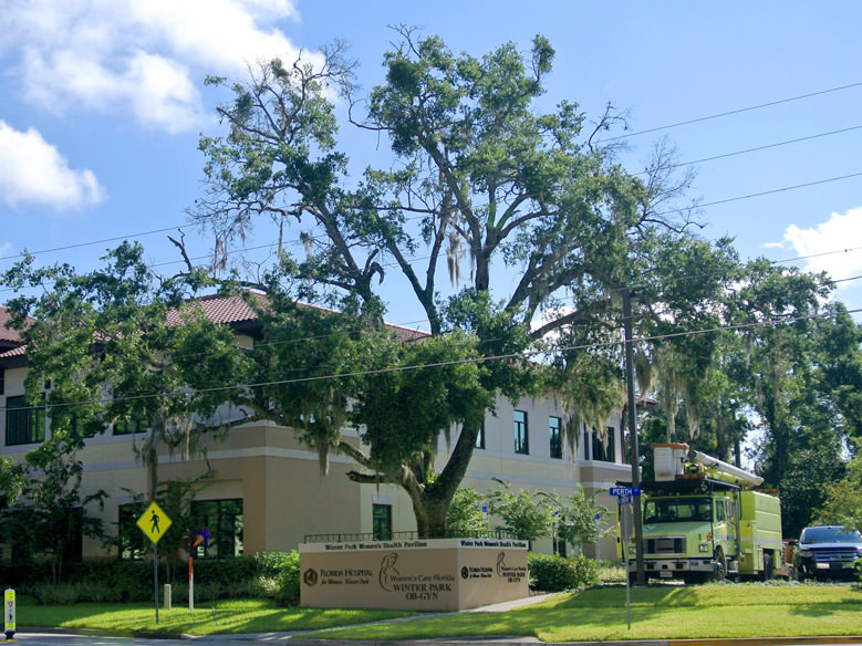 Commercial Tree Removal for Florida Hospital Women's Center in Winter Park, FL