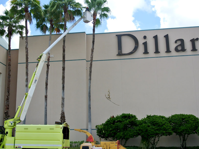Tree Trimming Work At West Oaks Mall, Ocoee, FL